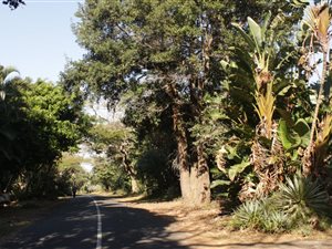 1349 m² Land available in Leisure Bay