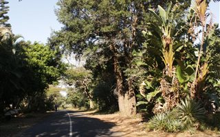 1349 m² Land available in Leisure Bay