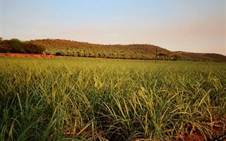 36.7 ha Farm in Komatipoort