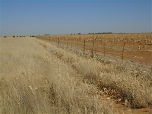 247 ha Farm in Delareyville