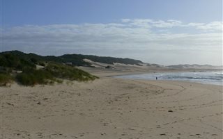 653 m² Land available in Kleinemonde