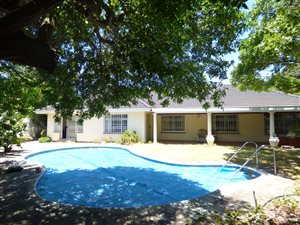 4 Bed House in Constantia