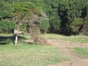 815 m² Land available in Cove Rock