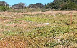 406 m² Land available in Stilbaai