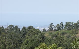 2526 m² Land available in Crestholme