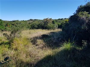 1341 m² Land available in Gonubie