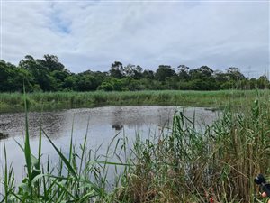 2886 ha Farm in Umzinto