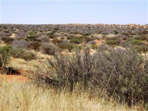 2570 ha Farm in Upington