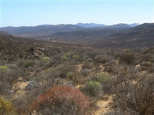 723 ha Farm in Springbok
