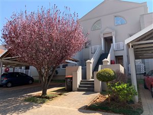 2 Bed Apartment in Bedfordview