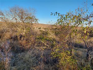 2400 m² Land available in Hoedspruit