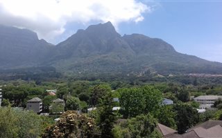 Studio apartment in Newlands