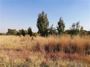 Commercial space in Vaal Marina