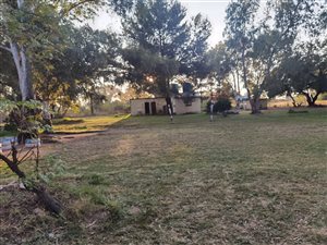 8.5 ha Farm in Olievenhoutbosch