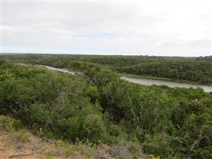 772 m² Land available in Kleinemonde