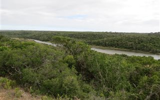 772 m² Land available in Kleinemonde