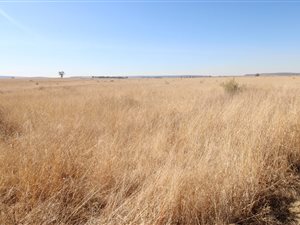 667 ha Farm in Klerksdorp