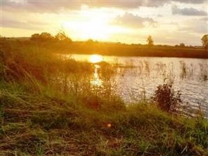 74 ha Farm in Klerksdorp
