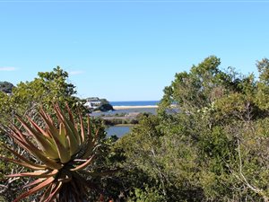 675 m² Land available in Kleinemonde