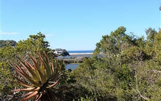 675 m² Land available in Kleinemonde