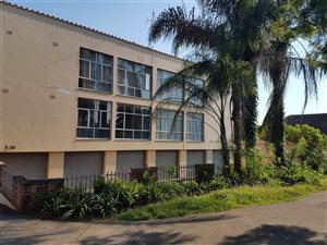 2 Bed Apartment in Clarendon