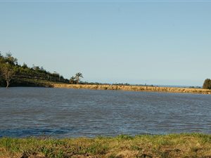 34 ha Farm in Trafalgar