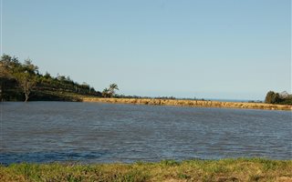 34 ha Farm in Trafalgar