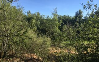 696 m² Land available in Parys Golf Estate