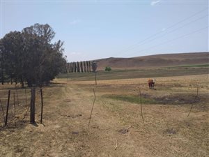 167.2 ha Land available in Bethlehem