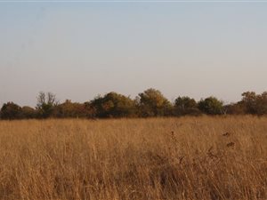 5.6 ha Land available in Kameelfontein and surrounds