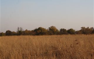 5.6 ha Land available in Kameelfontein and surrounds