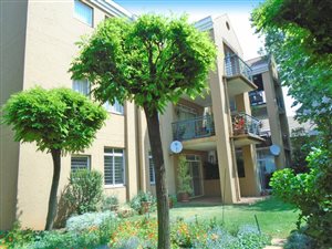 3 Bed Apartment in Riviera