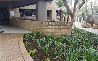 176 m² Commercial space in Morningside