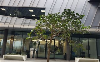 984 m² Office Space in Umhlanga Ridge