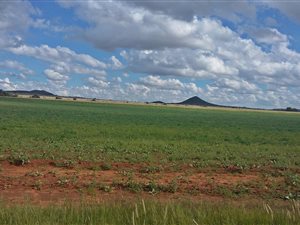 90 ha Farm in Bainsvlei