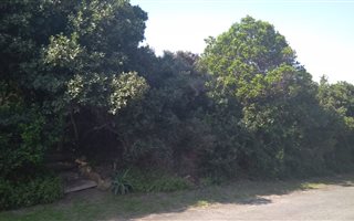 2205 m² Land available in Hersham