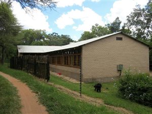 25.6 ha Smallholding in Bela-Bela (Warmbaths)