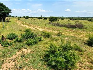 5.9 ha Land available in Grootvlei AH
