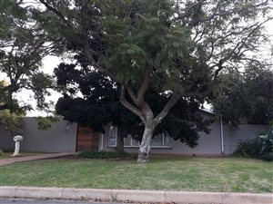 4 Bed House in Van Riebeeck Park