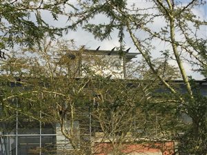 454 m² Commercial space in Silver Lakes