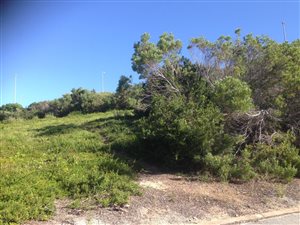897 m² Land available in Hoekwil