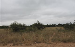 9931 m² Land available in Bendor