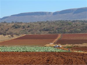 49 ha Farm in Hekpoort