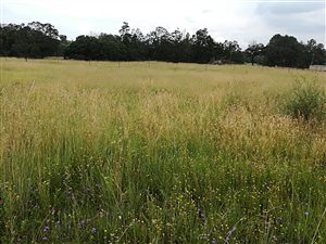 991 m² Land available in Golf View