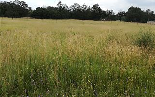991 m² Land available in Golf View