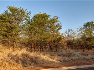 1328 m² Land available in Chroom Park