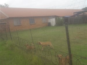 1 ha Farm in Withok Estates