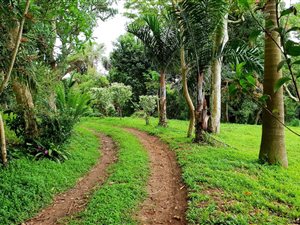 7 Bed House in Umtentweni