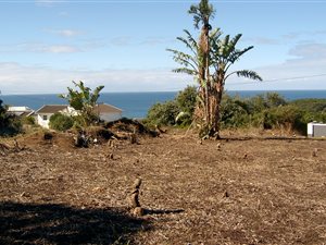 967 m² Land available in Chintsa East