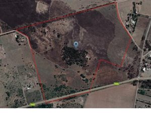 52 ha Farm in Kaalplaats